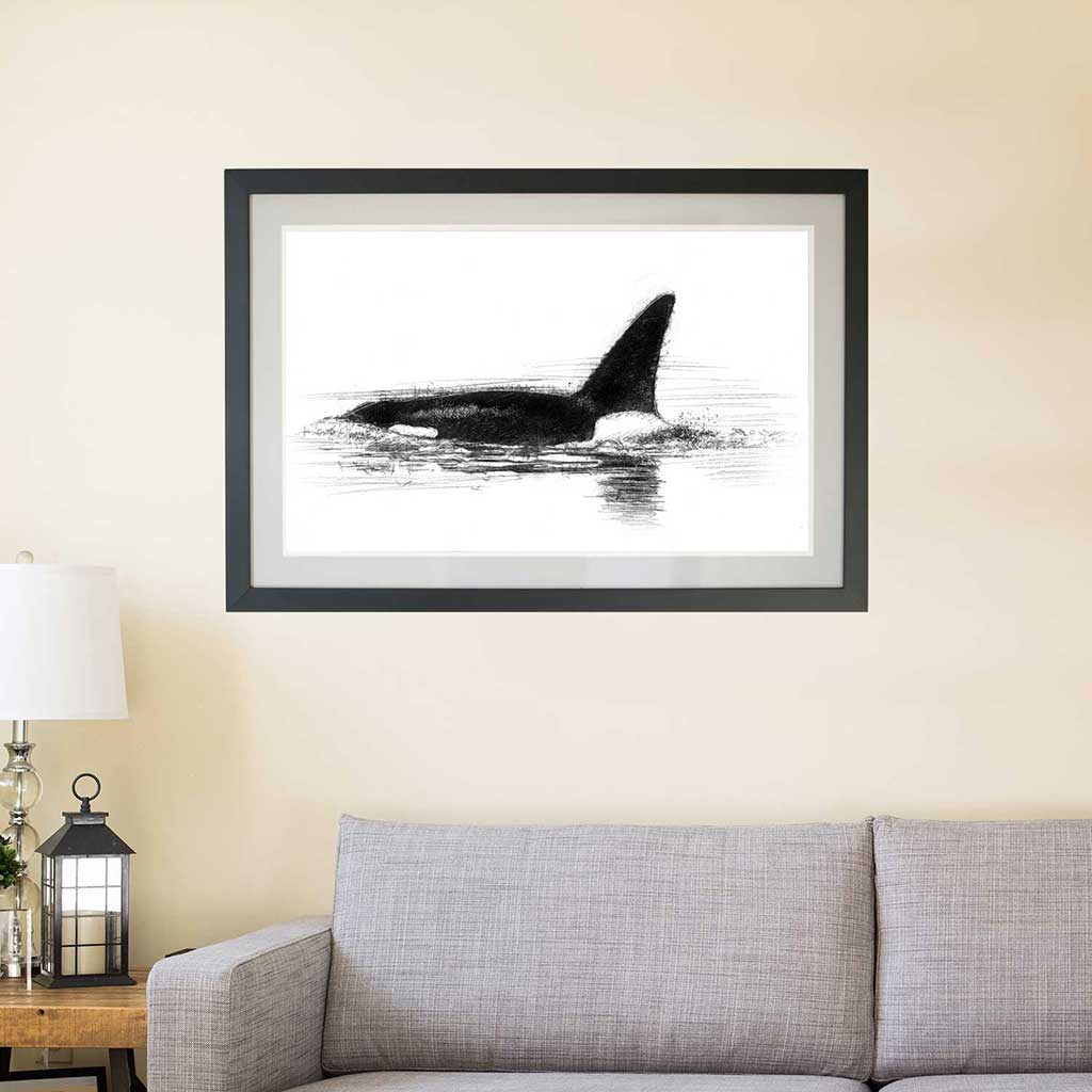 Original Orca sketch | SeanBriggs