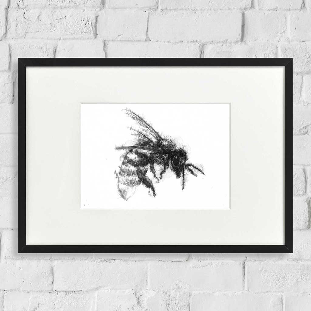 Original Honey bee sketch | SeanBriggs