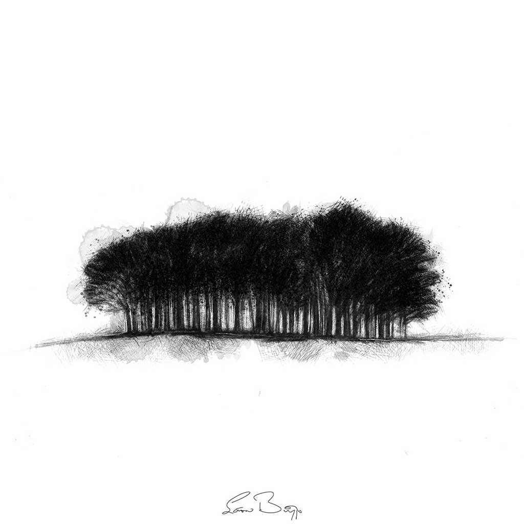 Original Copse sketch | SeanBriggs