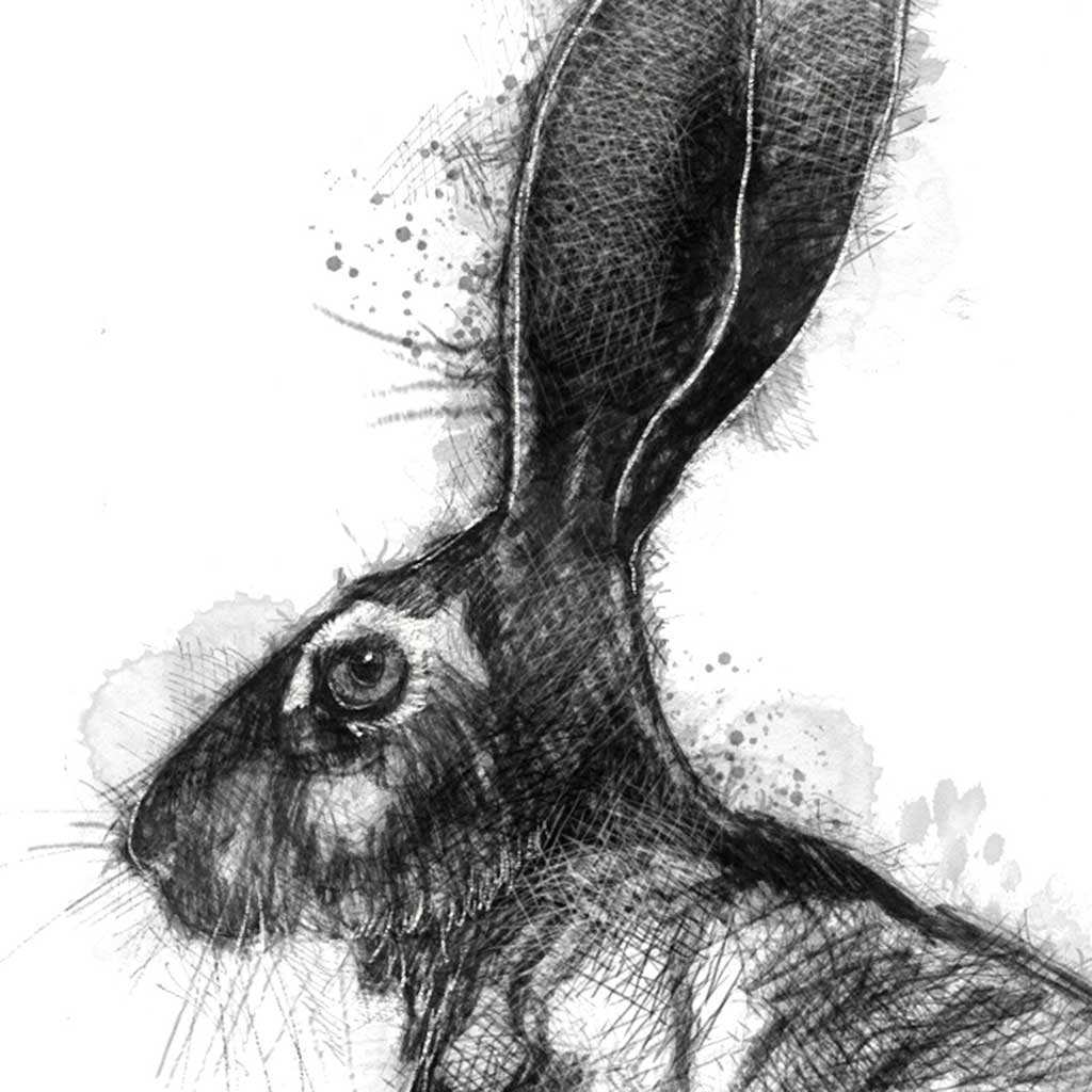 Original Jack rabbit sketch SeanBriggs