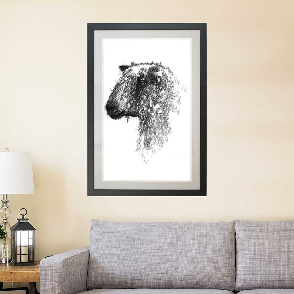 Original Wensleydale sheep sketch | SeanBriggs