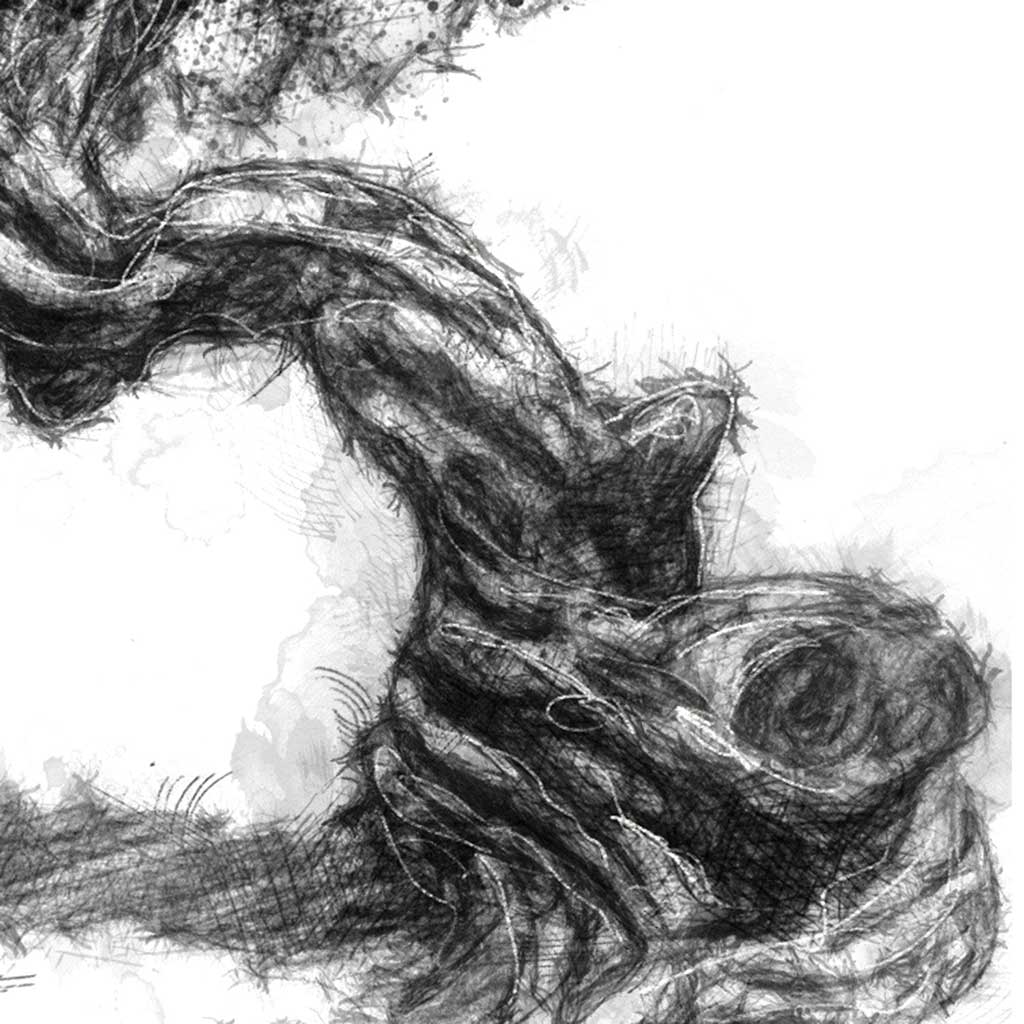 Original Twisted tree sketch SeanBriggs