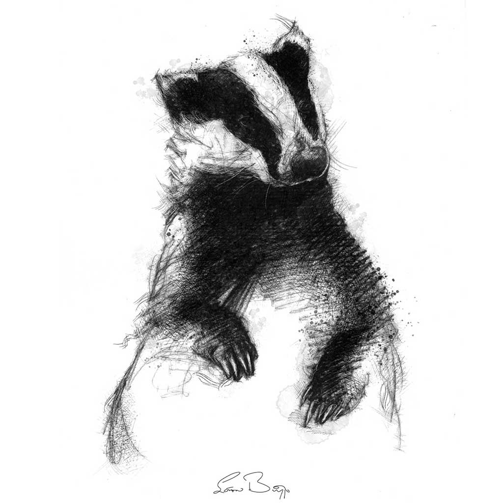 Original Badger sketch SeanBriggs