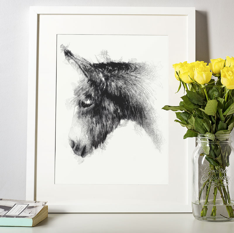 Domestic animal sketches and drawings | SeanBriggs