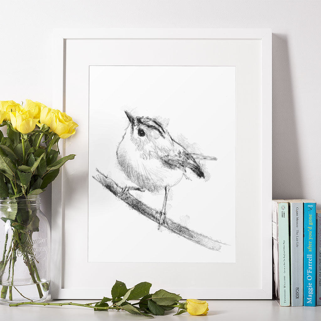 Bird sketches and drawings | SeanBriggs