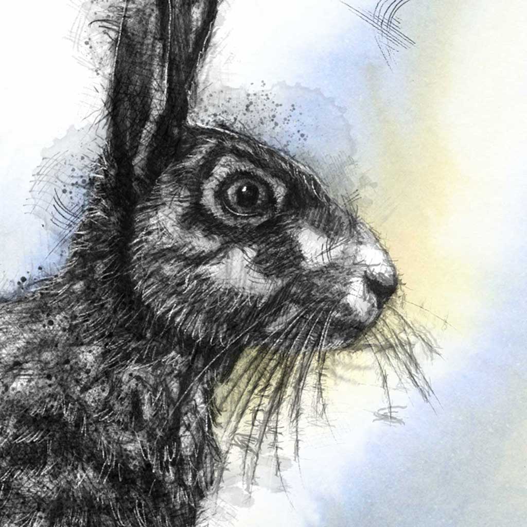 Original Brown hare sketch | SeanBriggs