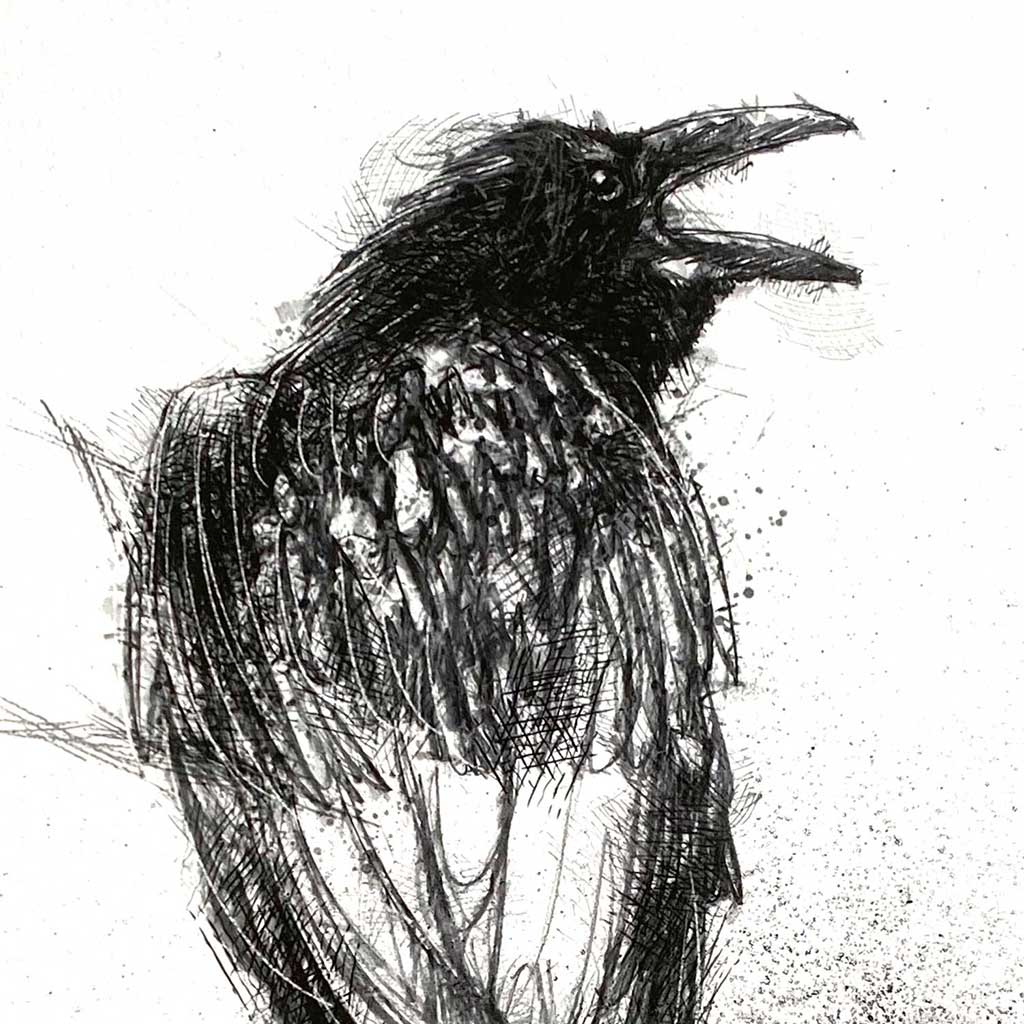 Crow call sketch | SeanBriggs