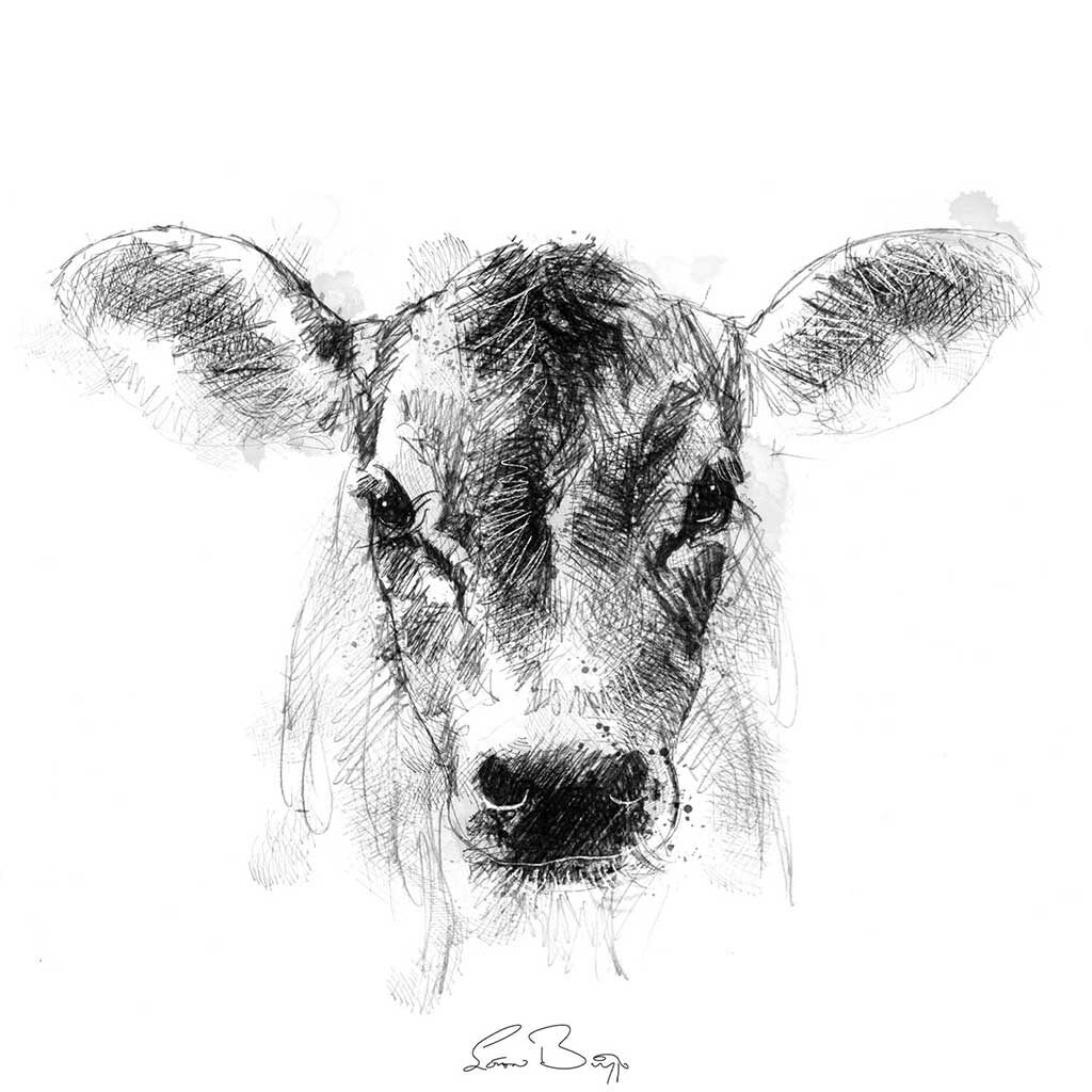 Domestic animal sketches and drawings | SeanBriggs