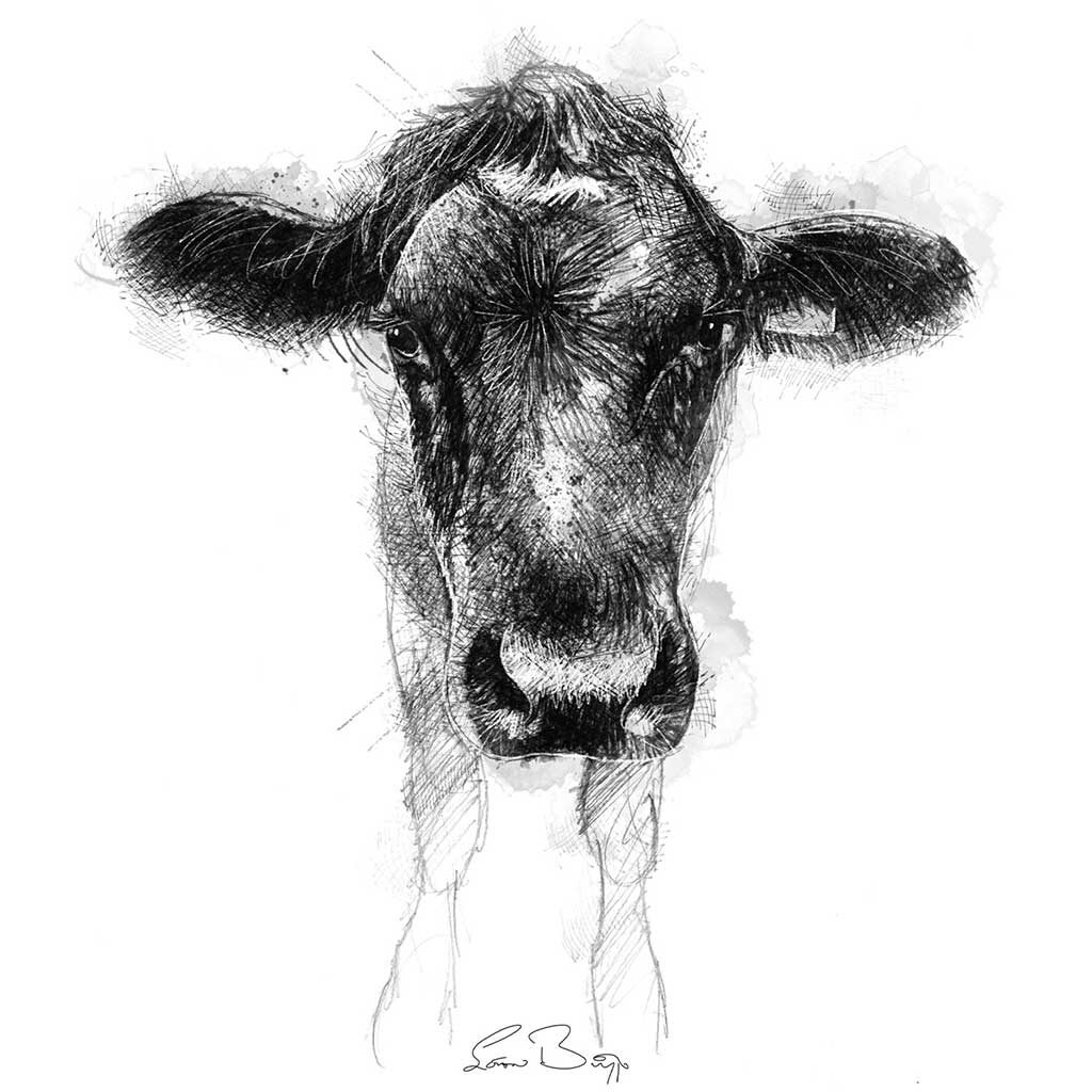 Domestic animal sketches and drawings | SeanBriggs