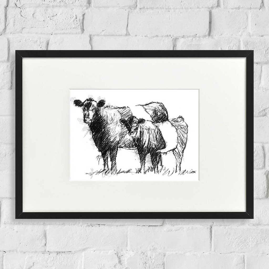 Belted Galloways sketch | SeanBriggs