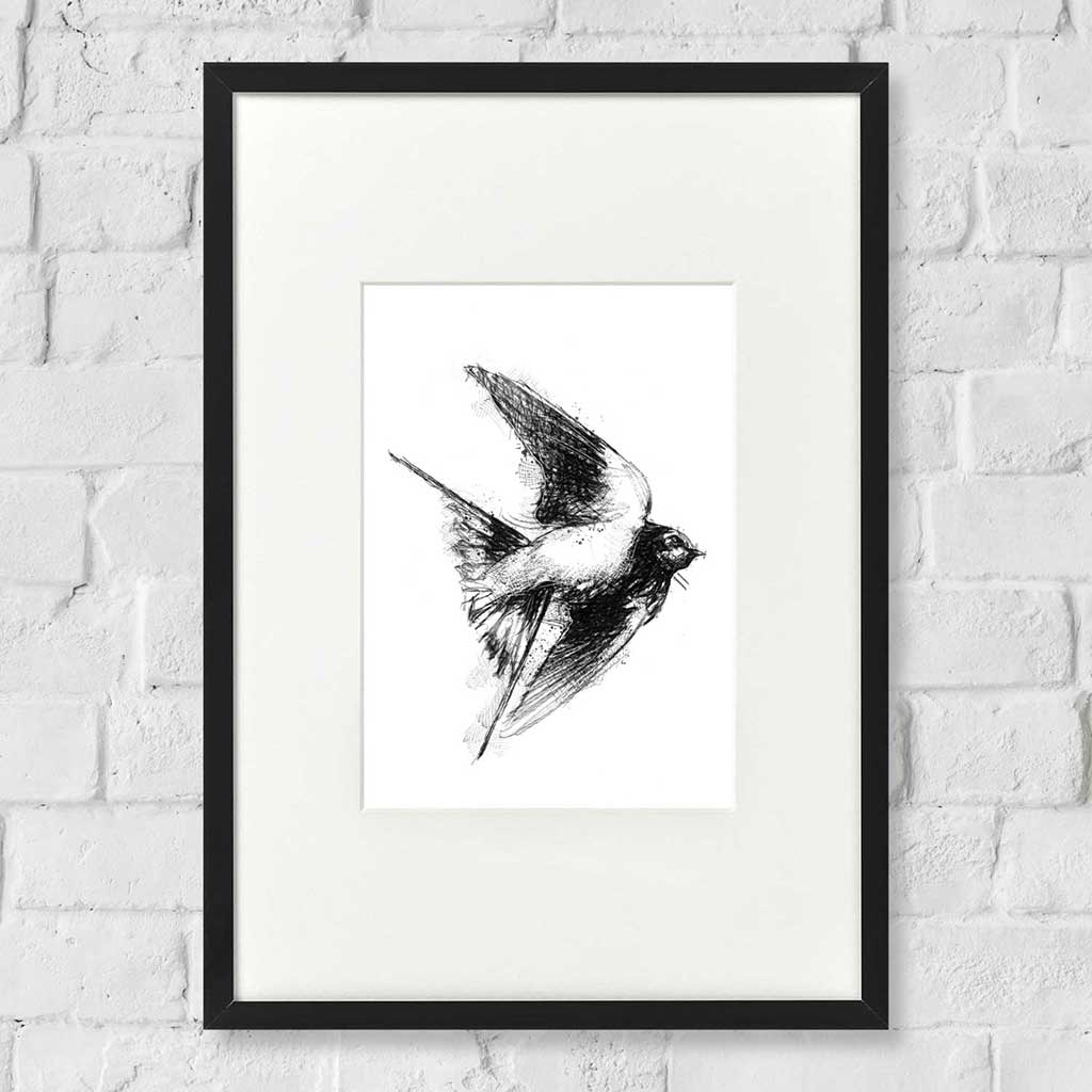 Barn swallow sketch | SeanBriggs