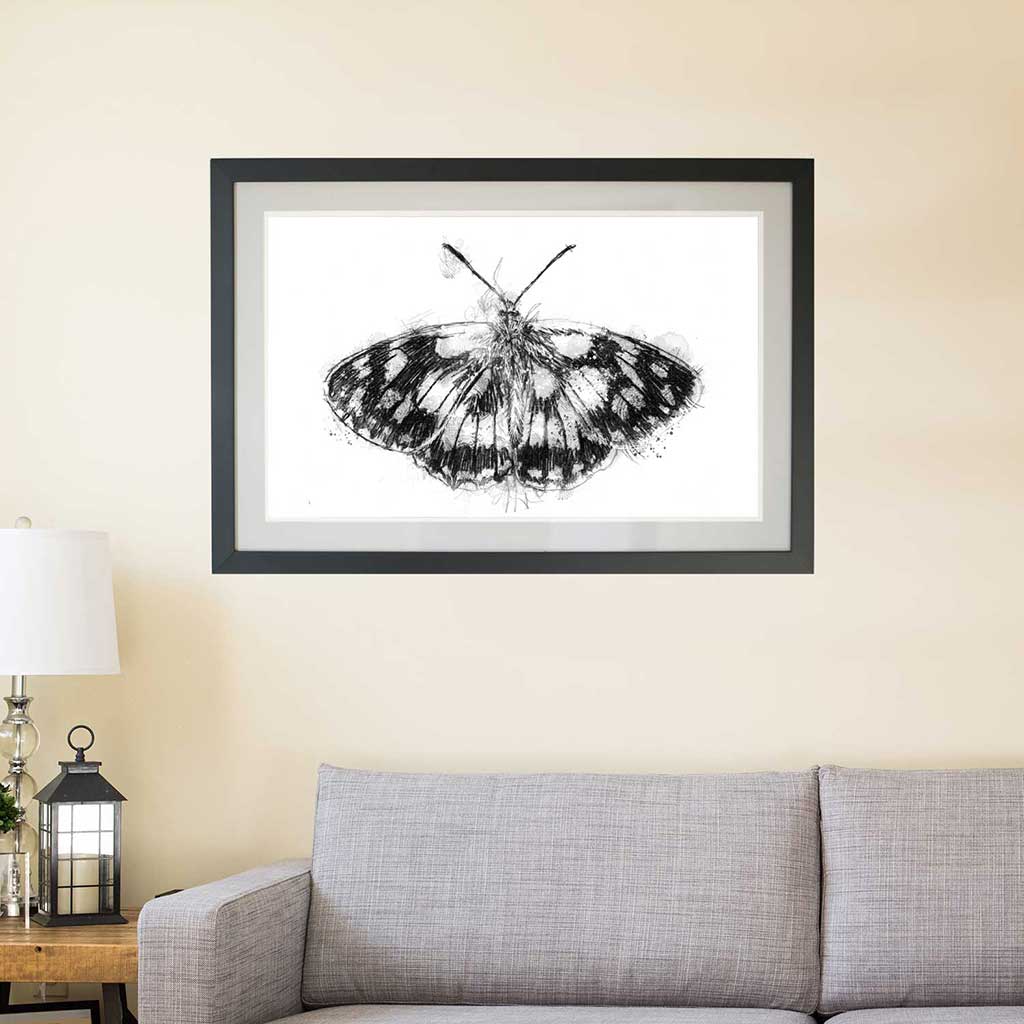 Marbled white butterfly sketch | SeanBriggs