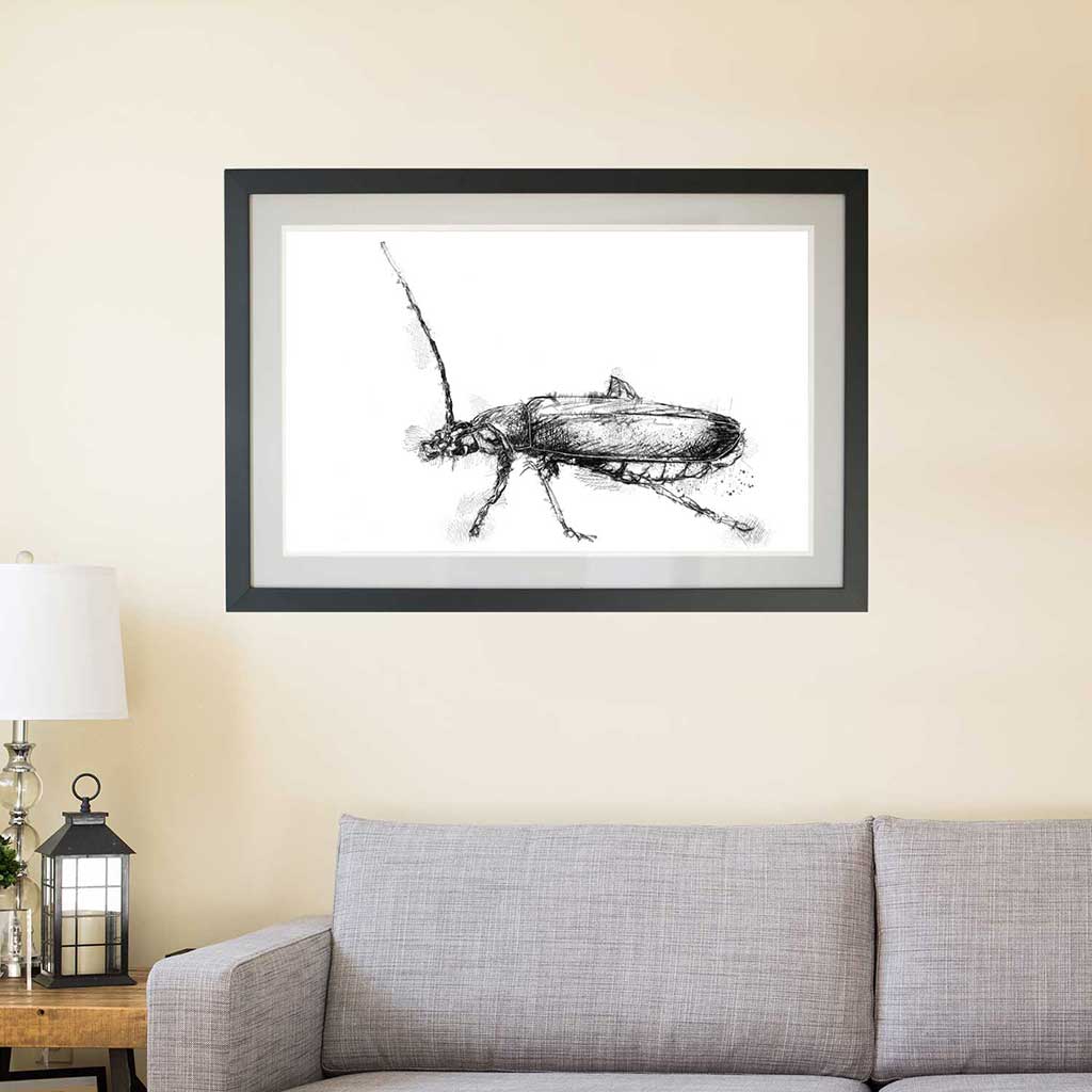 Soldier beetle sketch | SeanBriggs